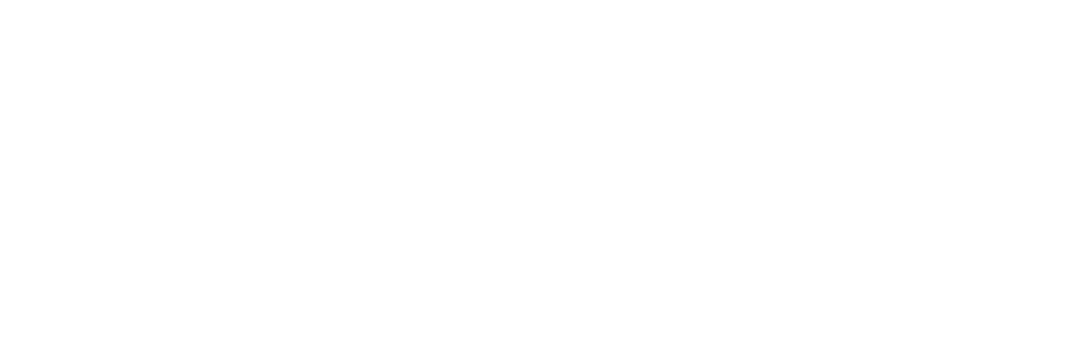 CIP-Dynamics Logo